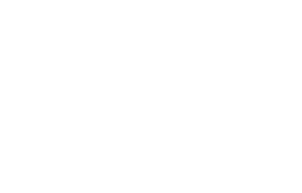 Wealth Stewards + Portfolio Stewards logos