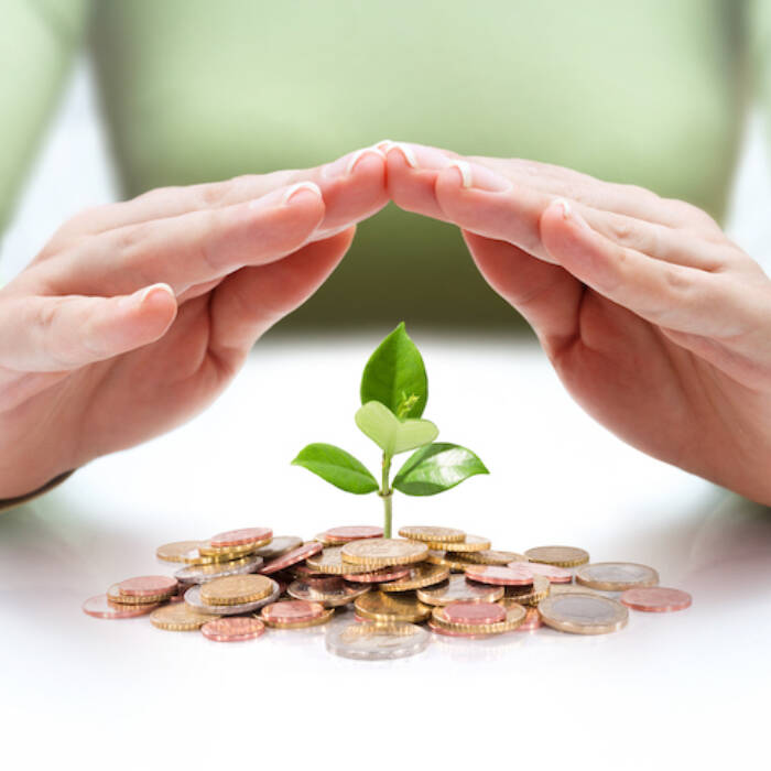 Person making a a gesture with two hands sheltering over a pile of coins with a a single stem of plant leaves in the centre