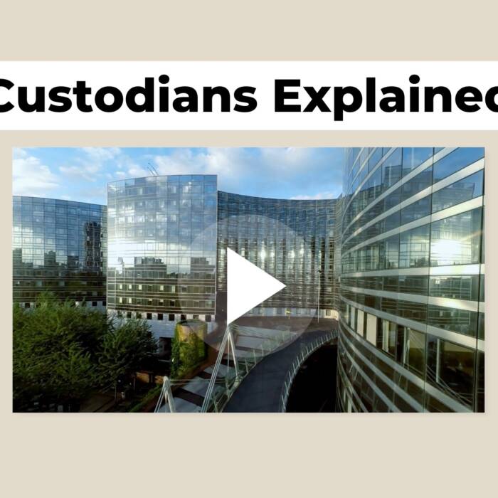 Thumbnail Custodians Explained