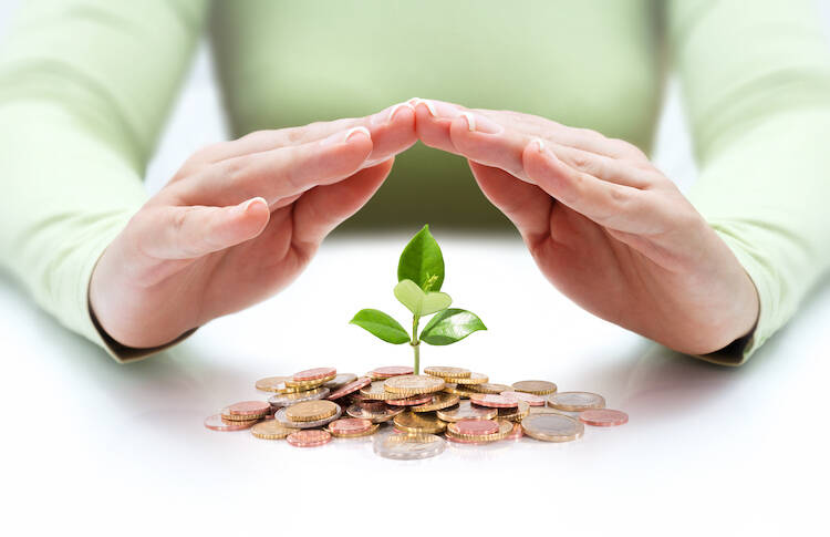 Person making a a gesture with two hands sheltering over a pile of coins with a a single stem of plant leaves in the centre