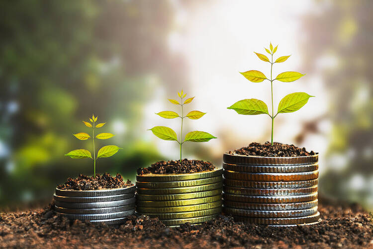 Three stacks of coins lined up together, growing in quantity with one plant stem with leaves on top of each stack