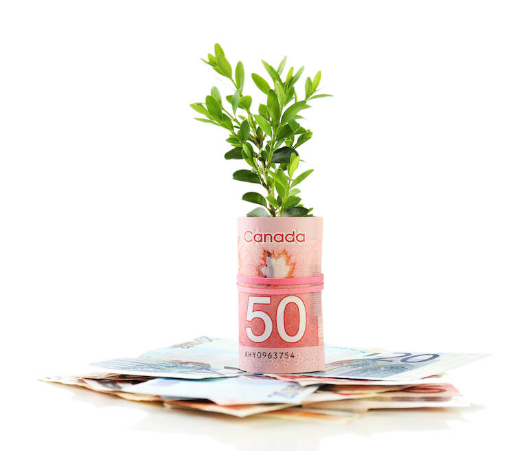 Stack of Canadian 50 dollar bills rolled around plant leaves sitting on top of cash bills